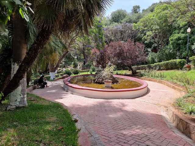  حدائق الجزائر