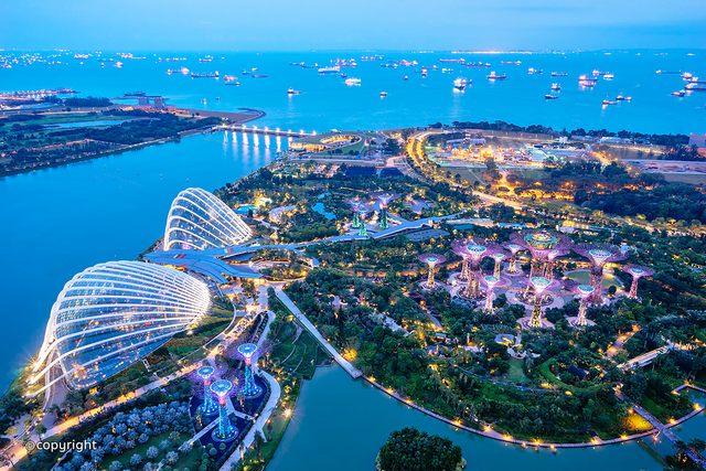 منظر خلاب لحدائق الخليج في سنغافورة