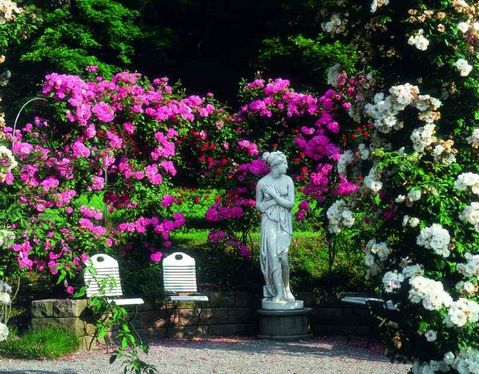  حديقة الزهور من اجمل اماكن السياحة في المانيا بادن بادن