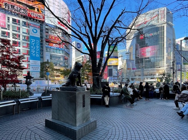 تمثال هاتشيكو التذكاري في طوكيو