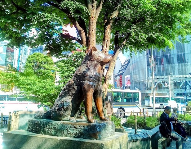 تمثال هاتشيكو التذكاري طوكيو
