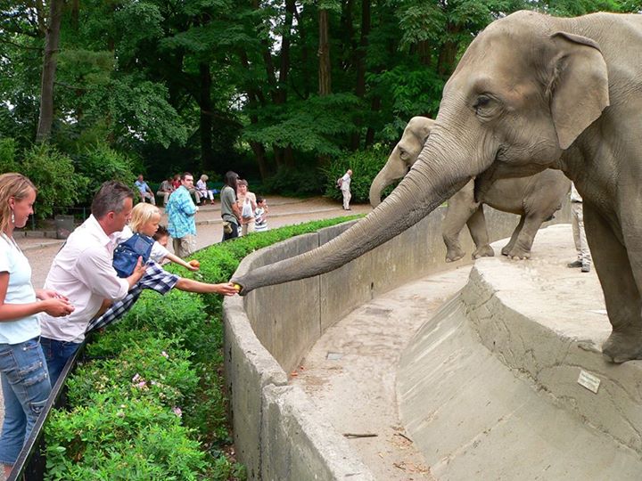 حديقة حيوانات هاجينبك من اروع حدائق مدينة هامبورغ وهي من الاماكن السياحية في هامبورغ المانيا الهامة