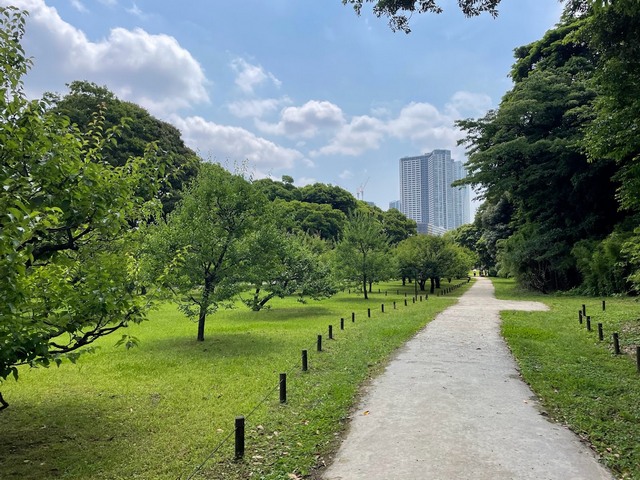 حدائق هاماريكيو طوكيو