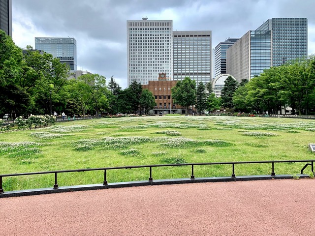 حديقة هيبيا في طوكيو