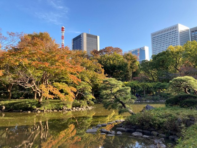 اجمل حدائق في طوكيو
