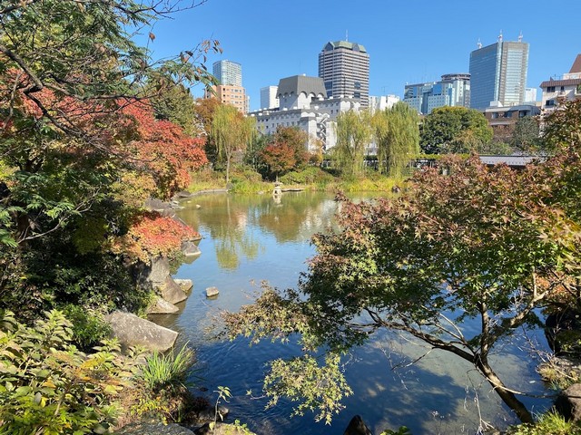 حديقة هينوكيشو طوكيو