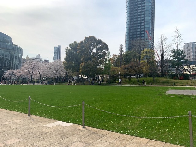 حديقة هينوكيشو طوكيو