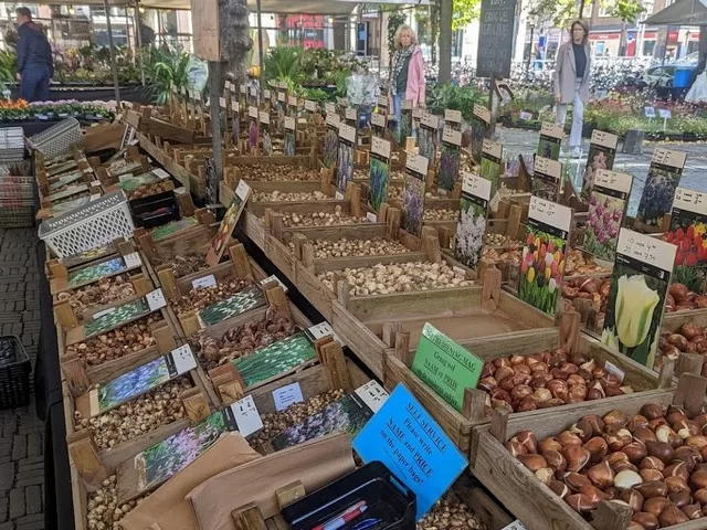 سوق الزهور يانسكيركوف في أوتريخت