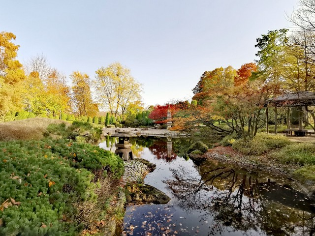 الحديقة اليابانية بون