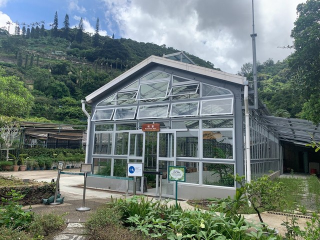 مزرعة قدوري والحديقة النباتية هونج كونج