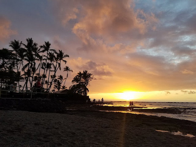 الشواطئ في هاواي

