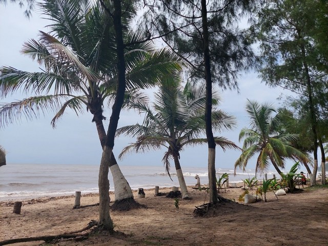 شاطئ كيم مومباي