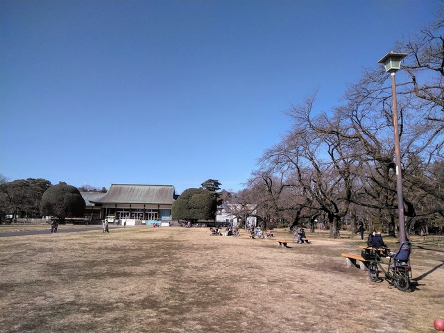 حديقة كوجاني في طوكيو