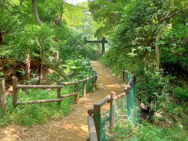 حديقة قلعة كوزوكو