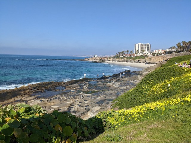 شاطئ لا جولا تايد بولز سان دييغو
