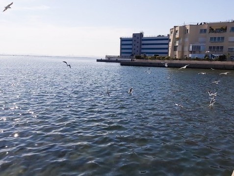 بحيرة تونس