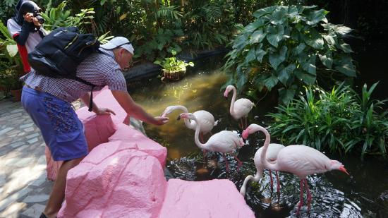 حديقة الحياة البرية في لنكاوي من افضل الاماكن السياحية في ماليزيا