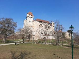 أفضل 4 أنشطة في قلعة ليختنشتاين فيينا