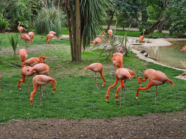 حديقة الحيوان لشبونة