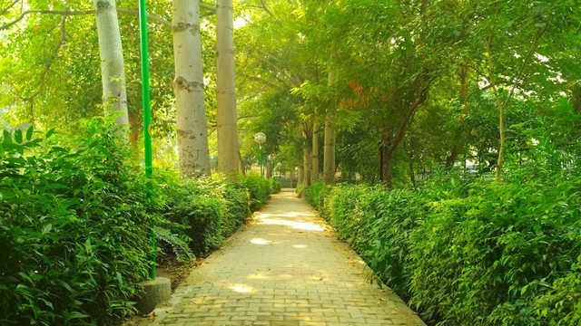 حديقة مادهوبان نيودلهي