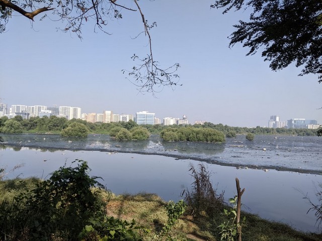 حديقة ومنتزه ماهاراشترا الطبيعي مومباي