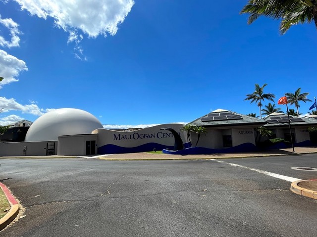 اكواريوم ماوي هاواي