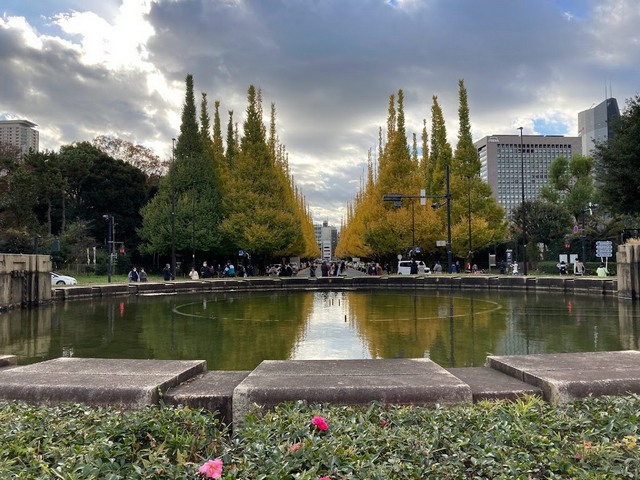 حديقة ميجي جينجو في طوكيو