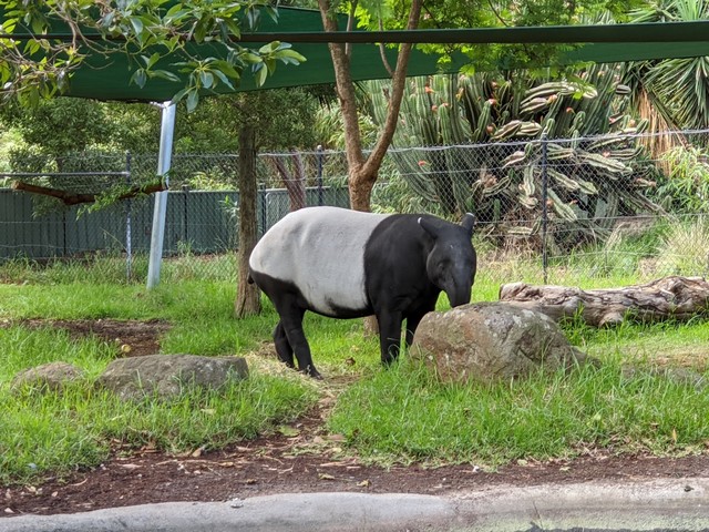 حديقة حيوان ملبورن