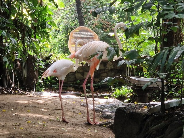 حديقة الحيوان الوطنية كولومبو