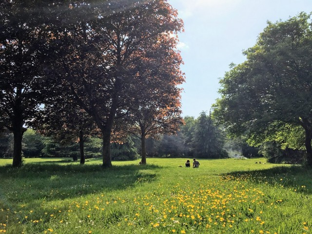 حديقة أولدبيري كورت بريستول