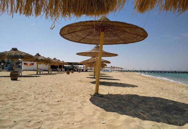 شاطئ النخيل في الجزائر