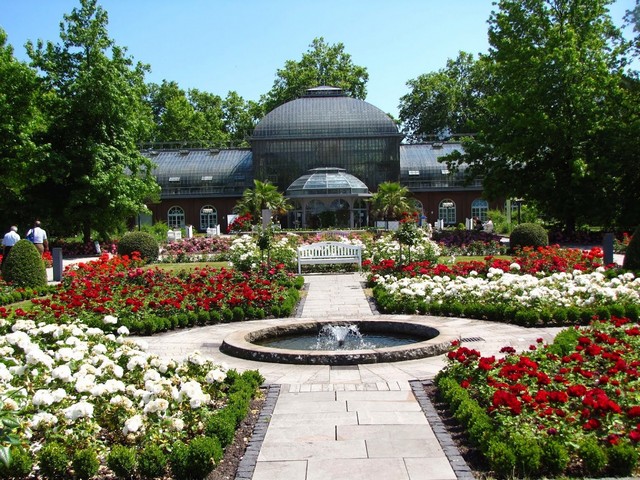 حديقة بالم جاردن فرانكفورت