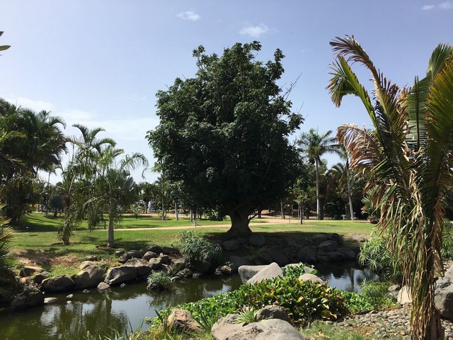 حديقة بالميتو جزر الكناري