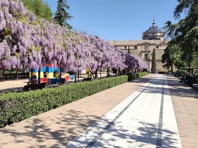 حديقة باسيو دي لا فيجا في توليدو