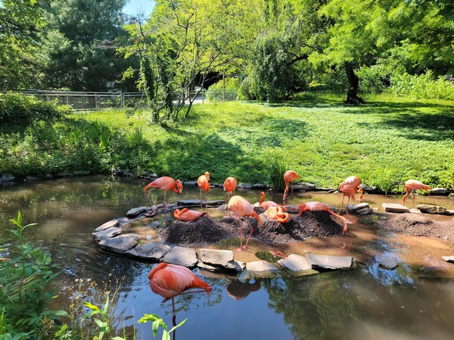 حديقة حيوان فيلادلفيا