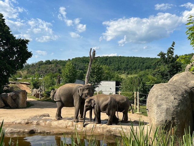حديقة حيوانات في براغ