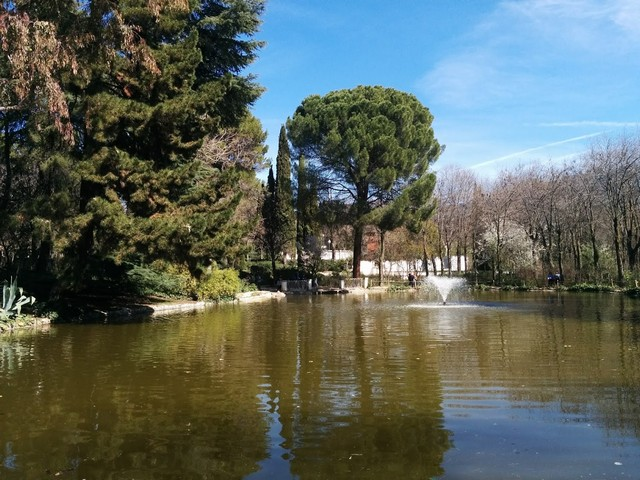 حديقة كينتا دي لوس مولينوس في مدريد