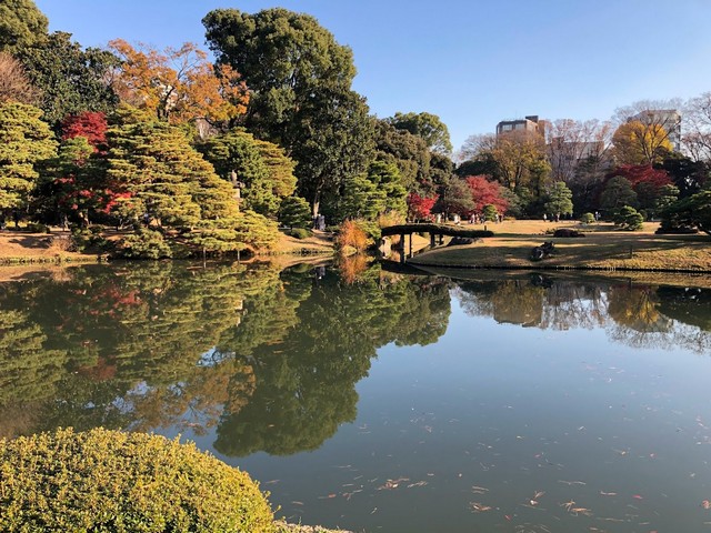 حديقة ريكوجيان في طوكيو