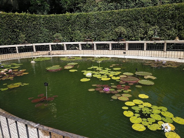 الحديقة النباتية الملكية مدريد