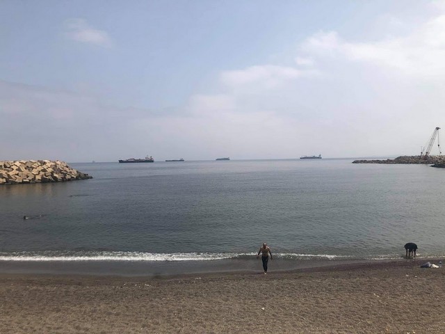 شواطئ في الجزائر