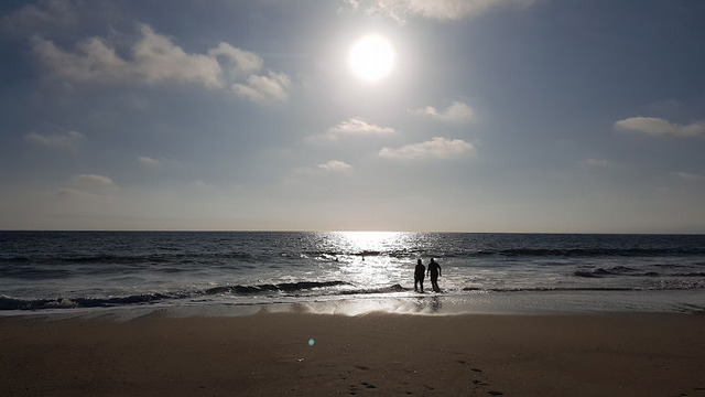شاطئ سانتا مونيكا لوس أنجلوس
