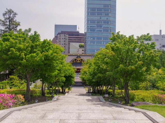 حدائق طوكيو
