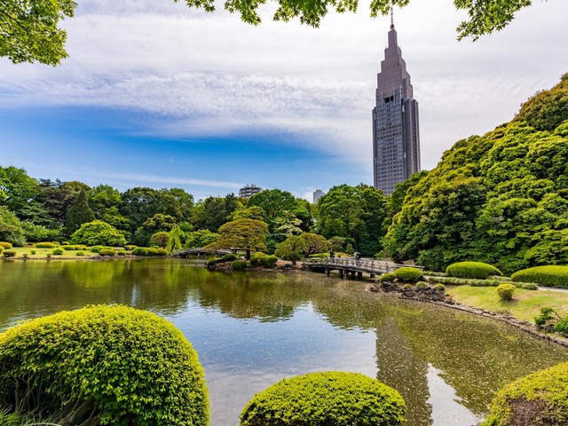 حديقة شينجوكو جيوين طوكيو