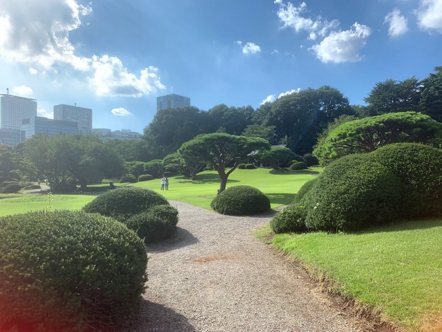 حديقة شينجوكو جيوين في طوكيو
