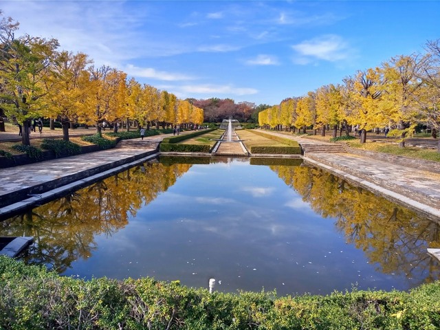 حديقة شوا كينين في طوكيو
