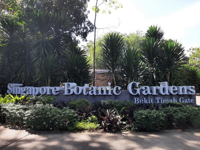 الحديقة النباتية سنغافورة