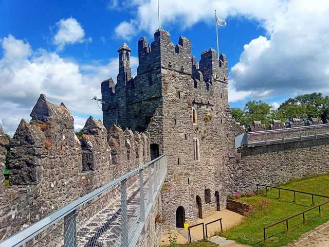 قلعة السيوف في دبلن