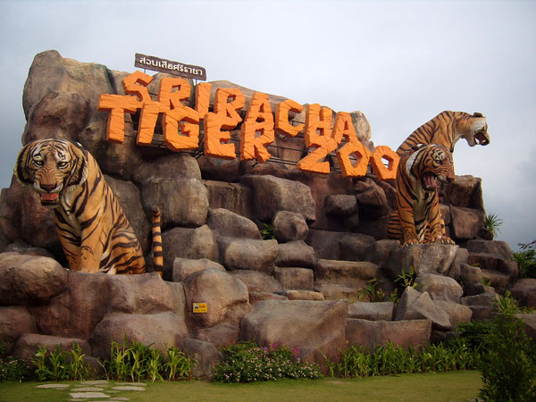 حديقة النمور في بتايا تايلاند