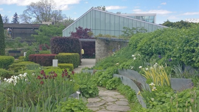 حديقة تورونتو النباتية تورنتو