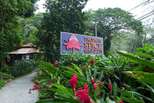أفضل 6 أنشطة في حديقة التوابل في بينانج ماليزيا